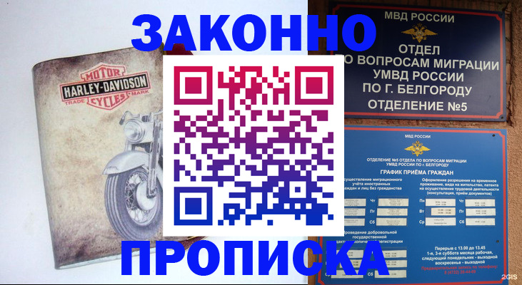 прописка для школы в Амурской области